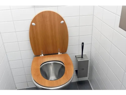 Rvs Toiletborstelhouder, Qtbh Ssl