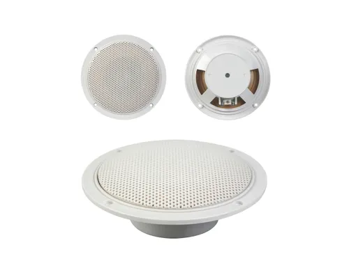Set Van Twee Waterbestendige Konische 5 Inch Luidsprekers 80w