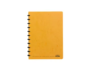 Schrift Atoma A4 lijn 144blz 90gr karton assorti - 4