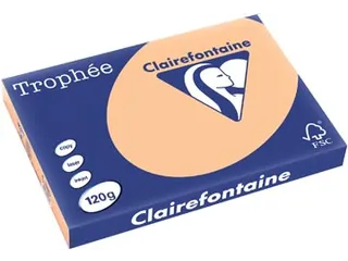 Trophée Pastel gekleurd papier A3 120 gram 250vel Abrikoos - 1