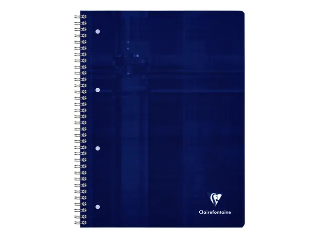 Collegeblok Clairefontaine Studium A4+ ruit 5x5mm 4-gaats 80 pagina's