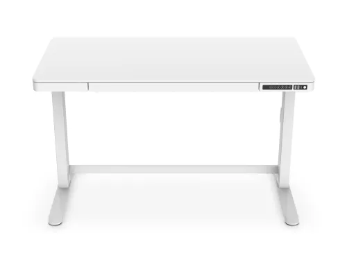 Elektrisch Verstelbaar Bureau 120x60cm USB Wit