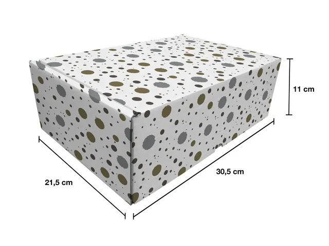 Cadeaupakketdoos Raadhuis 4 spetter 305x215x110mm krimp a 5 stuks