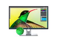 Dell Ultrasharp UP3218K 32 Inch Premiercolor 8K Monitor