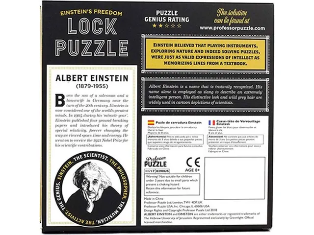 Puzzle cérébral Einstein Lock Puzzle