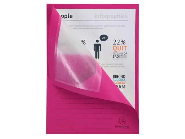 50 Venstermappen Forever 22x31cm Assorti