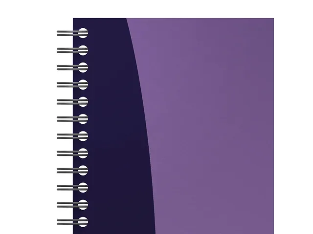 Spiraalblok Oxford Urban Mix A4 90vel ruit 5mm assorti
