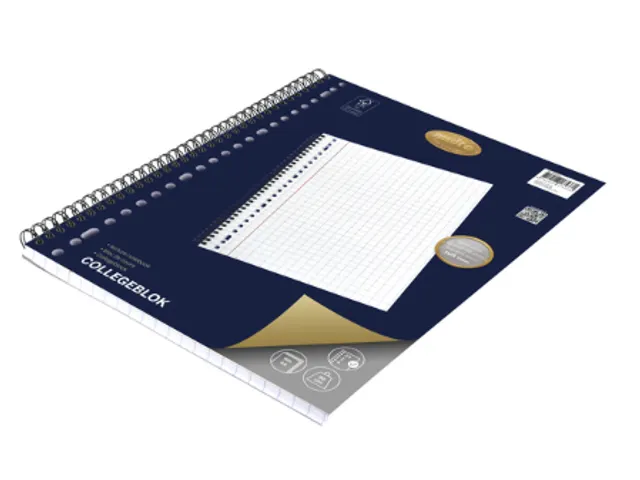 Bloc de cours Multo A4 carreau 10mm 23 perforations 160 pages 90g