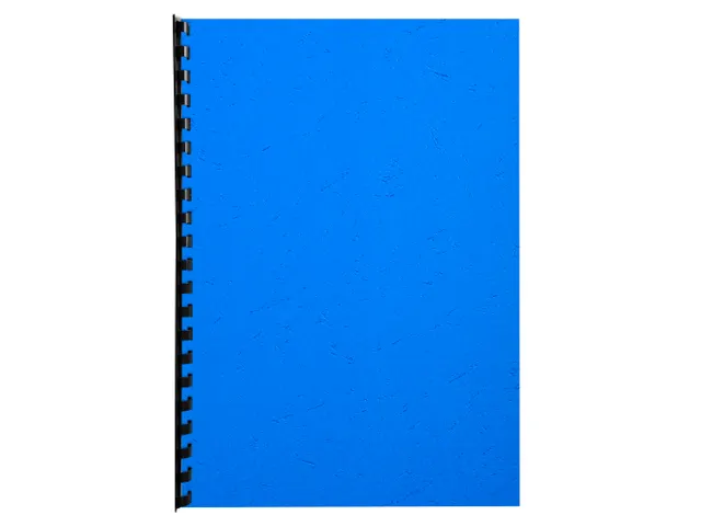 Pk 100Vl Forever Fra Nce Blauw A4 270G