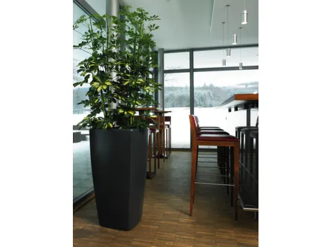 plantenpot,trapeziumvormig,PE,antracietgrijs,HxBxD 900x470x470mm,38l