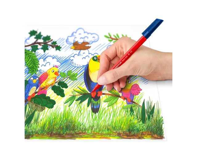 Kleurstift Staedtler Noris 326 kartonnen etui 20 kleuren