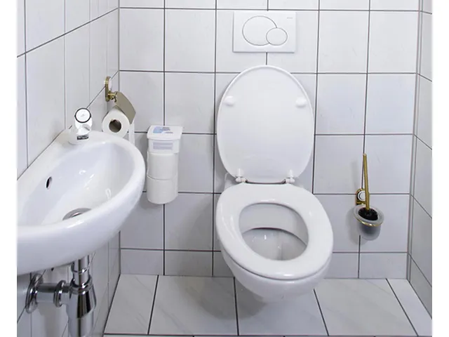 Sanitairreiniger HG Alledag spray 500ml