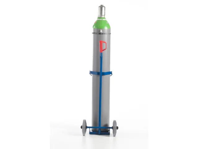 Diable Pour Bouteilles Force 100 kg 1bouteille De 40/50 l Bandage Pn