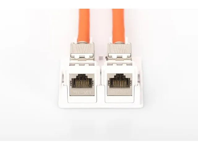 Consolidatiepuntbehuizing voor 2x Keystone modules Wit 2-Poorts