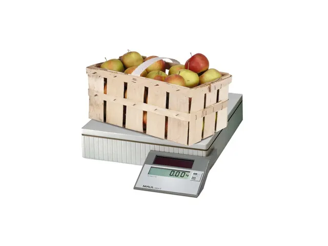 Pakketweger MAUL Parcel S 30x30cm solar 50kg