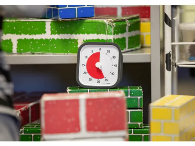 Time Timer MOD home