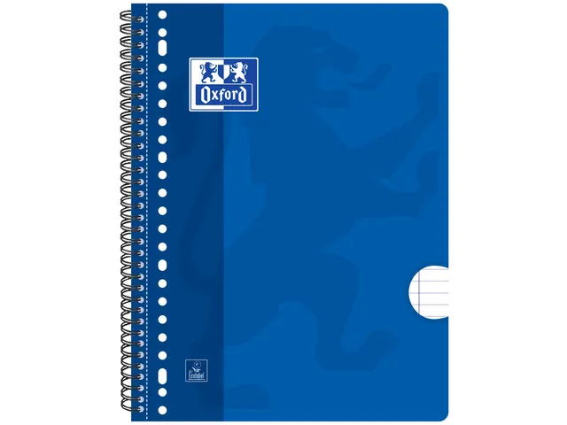 Collegeblok Oxford Scribzee A4 23-Gaats Lijn 80Vel Assorti