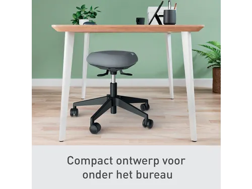 Zitkruk Leitz Ergo met wieltjes en wiebelkussen 600x470x600mm zwart
