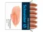Inktpatronen Schneider pastel Abrikoos doos 6st.