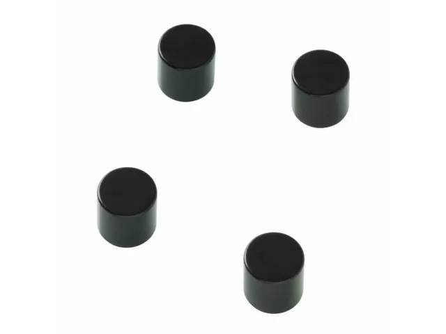 Glasbordmagneten Naga 10x10xmmcylinder set a 4st. zwart