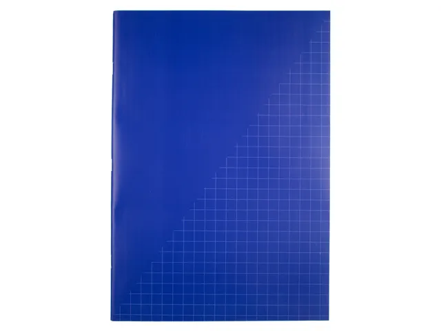 Schrift A4 80 blz geruit 10mm, krimp à 5 stuks