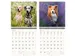 Kalender 2027 Helma 365 30x30cm honden