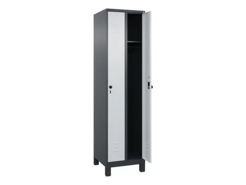 locker,HxBxD 1950x500x500mm,2vak,vak B 250mm,draaigrendel,voeten