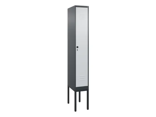 locker voor scheiding van kleding,HxBxD 2120x300x500mm,1vak