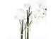Kunstplant Mica Phalaenopsis orchidee wit in plastic pot 79x51cm