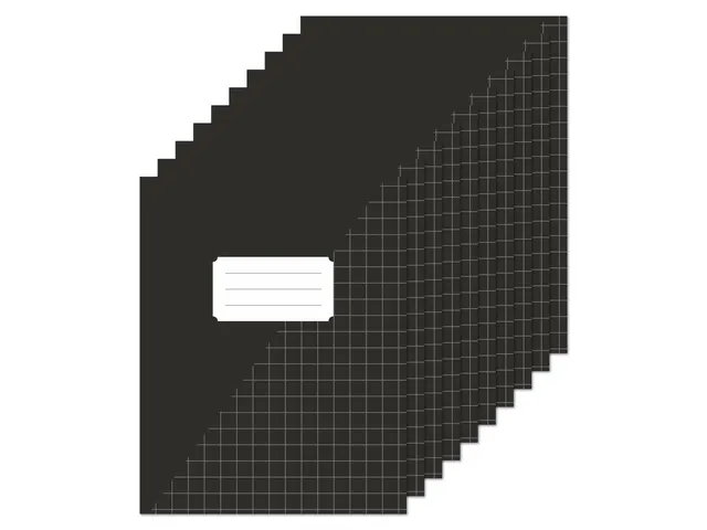 Schrift Kangaro A5 ruit 10mm zwart pak a 10 stuks