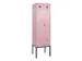 locker voor scheiding van kleding,HxBxD 2120x600x500mm,2vak