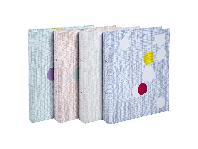 Classeur carton 2 anneaux 30mm LZC