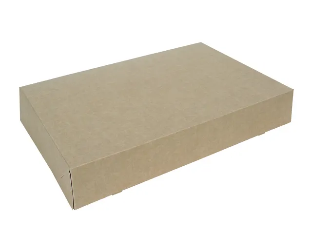 Cateringdoos IEZZY 46cm plasticvrij bruin 10 stuks