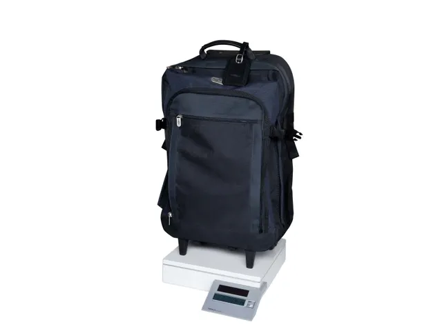 Pakketweger MAULparcel S solar 50kg