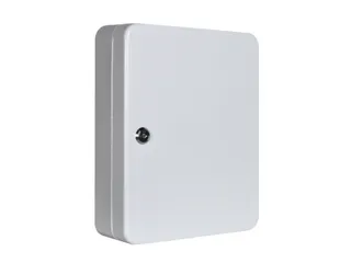 Sleutelkast Staalplaat HxBxD 300x240x80mm 42 Haakjes RAL7035 - 1