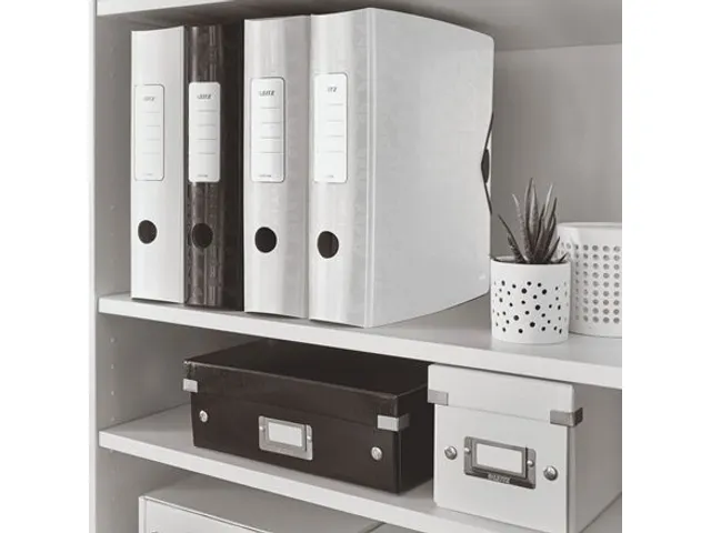 Ordner Leitz 1106 WOW 180° Active A4 80mm PP wit