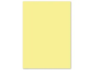 Papier Kangaro A4 160 grams pastel geel pak 50 vel - 3