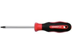 R38401825 2C schroevendraaier TX T40 100mm