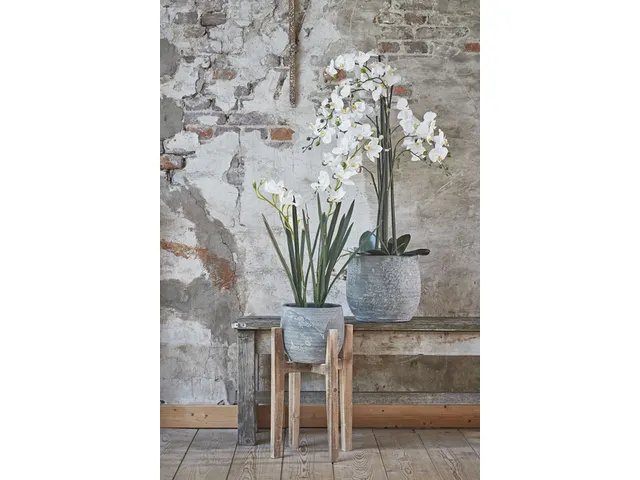 Kunstplant Mica Phalaenopsis orchidee wit in plastic pot 79x51cm
