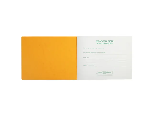 Effectenregister Exacompta BV SLR 240x320 80vel assorti