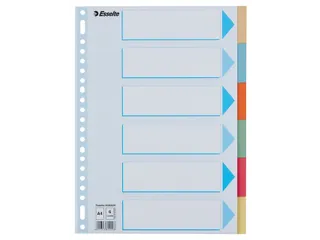 Tabbladen Esselte Premium A4 6-delig karton 23-rings assorti - 1