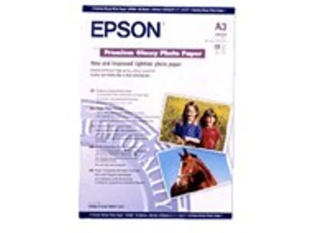 C13S041315 Epson Fotopapier A3 255 Gram Premium Glossy