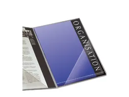 Hoektas Djois 170x170mm zelfklevend PP transparant 100 stuks