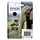 Inktcartridge Epson 24XL T2431 zwart HC C13T24314012