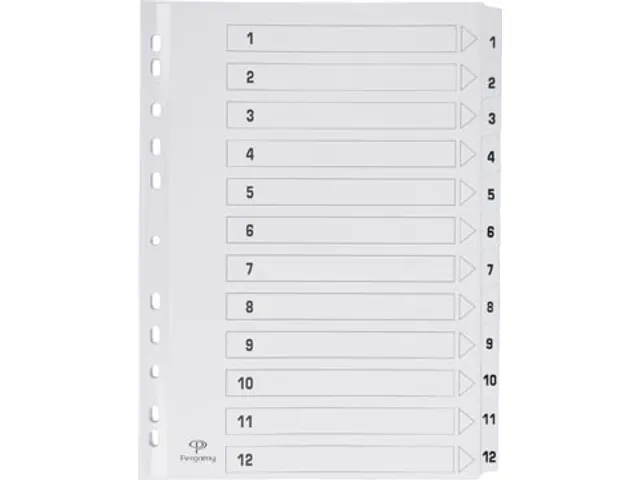 intercalaires avec page de garde, ft A4, perforation 11 trous, carton,