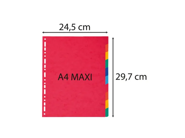 Tabbladen glanskarton 225g 10-delig A4 maxi Assorti