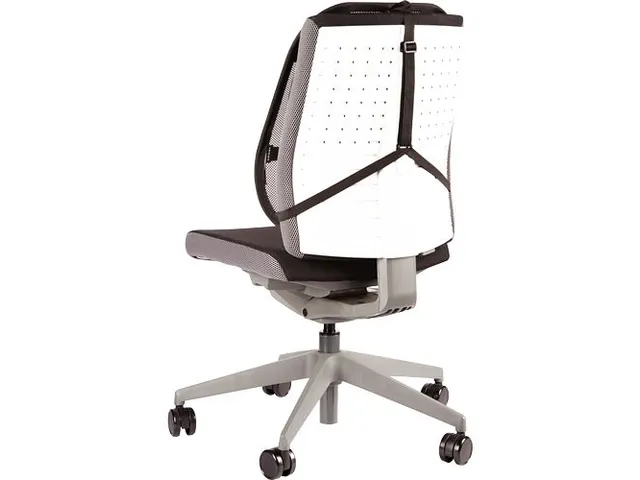 Rugsteun Fellowes Office Suites Gaas 512x409x141 mm zwart