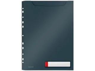 Insteekmap U-model Leitz Cosy harmonica A4 met perforatiestrip PP grij - 1