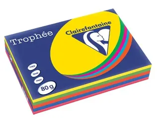 Trophée Intens gekleurd papier A4 80 gram 500vel Assorti - 1