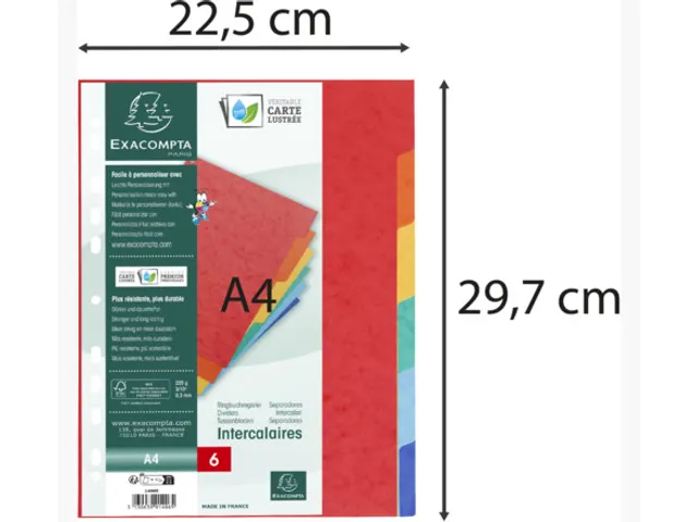 Tabbladen Exacompta A4 11-gaats 6-delig glanskarton Assorti